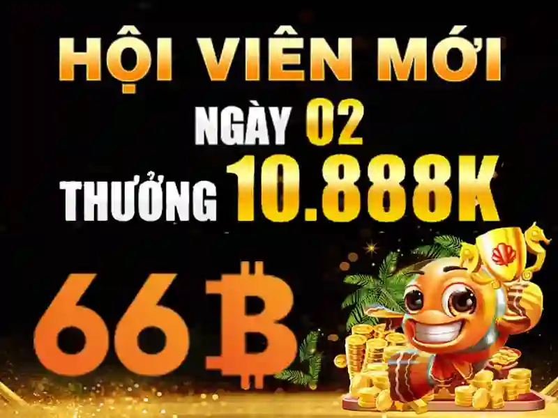 66b và những gì bạn cần biết