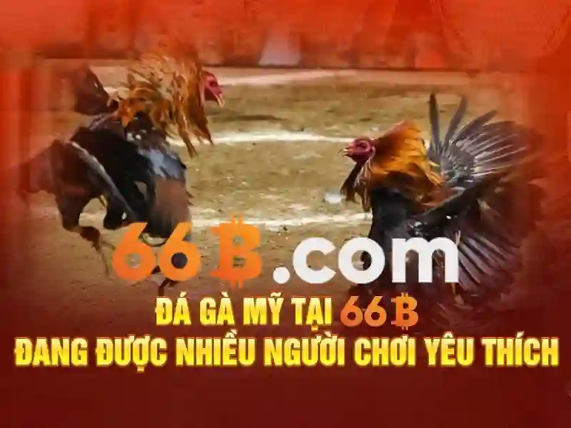 66b online – chủ đề tổng quan và giá trị cốt lõi