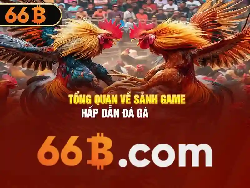 66b app – Lời mở đầu cho hành trình số hóa