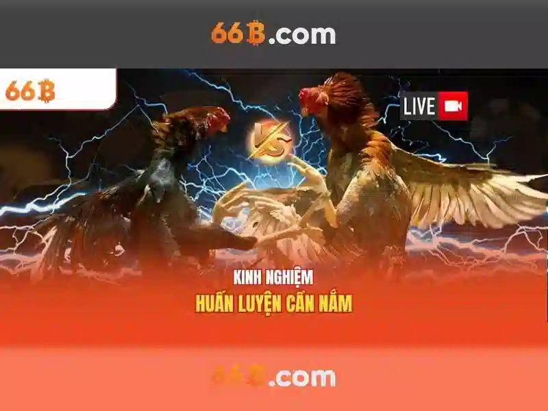 Quá trình huấn luyện và dữ liệu