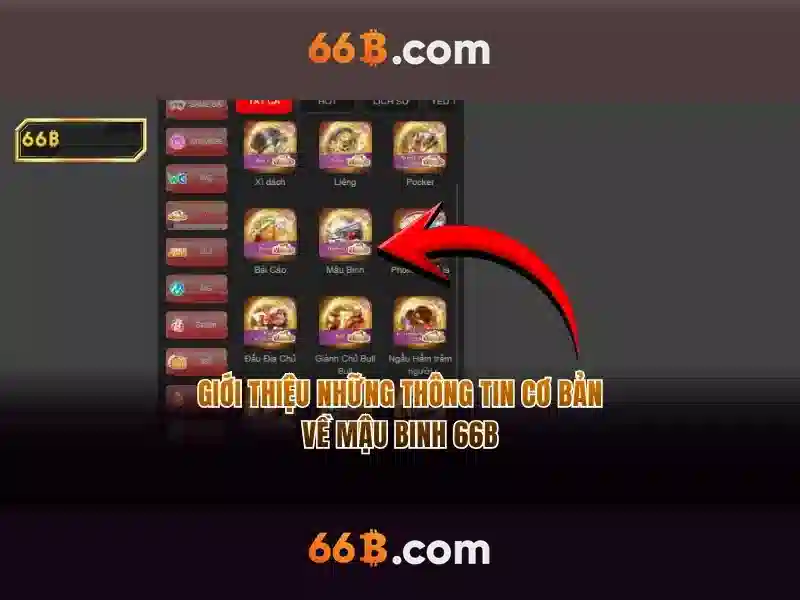 Giới thiệu về 66B