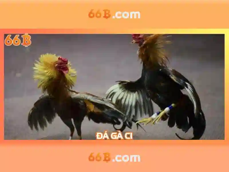 Sản phẩm và dịch vụ chính liên quan đến 66b phường 15 quận tân bình</span></p>