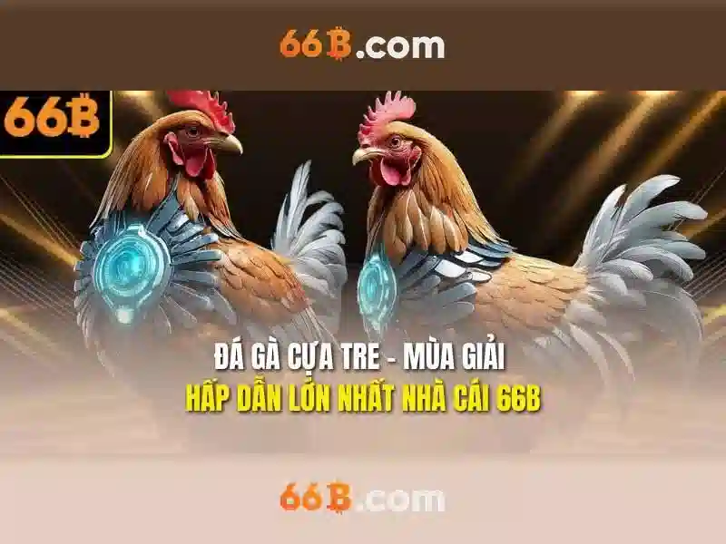 loods 66b – Tổng quan chủ đề và giá trị cốt lõi