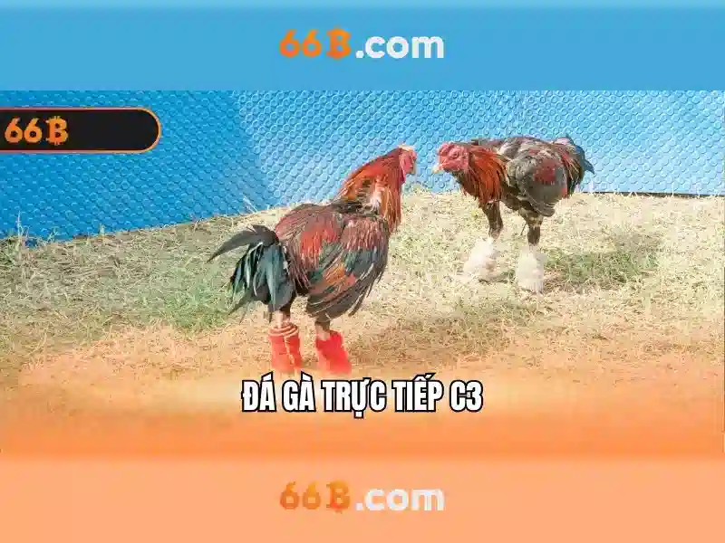 Khởi nguồn của seiko 66b và sứ mệnh