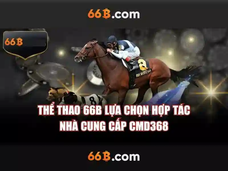 Khái quát về 66b