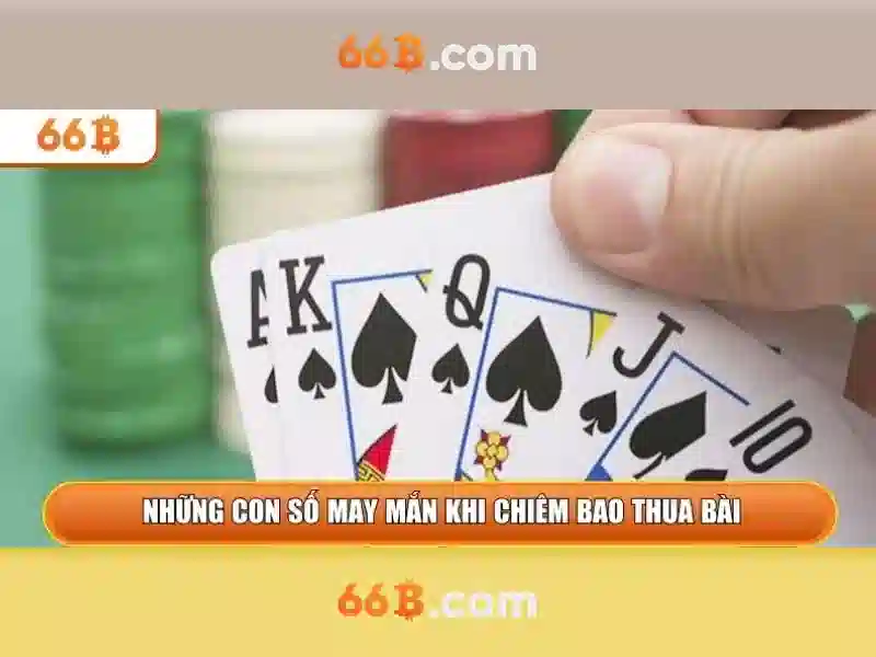 Sản phẩm và dịch vụ cốt lõi của k9 66b