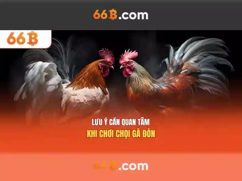 Cách hoạt động của 66B
