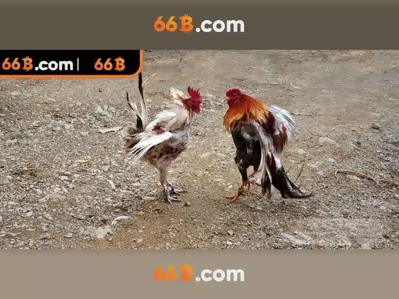 Cấu trúc và tham số