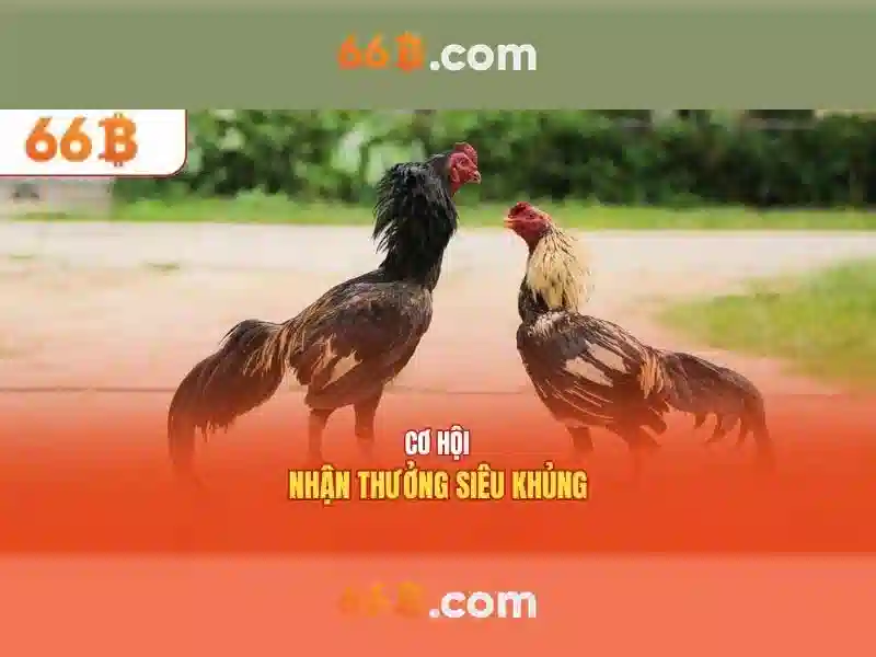 Kiến trúc và tham số