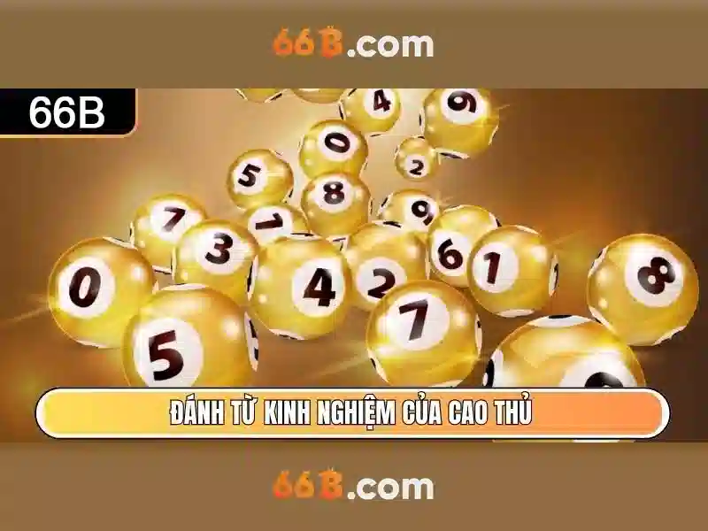 Hỗ trợ 66b – Lợi thế và cạnh tranh