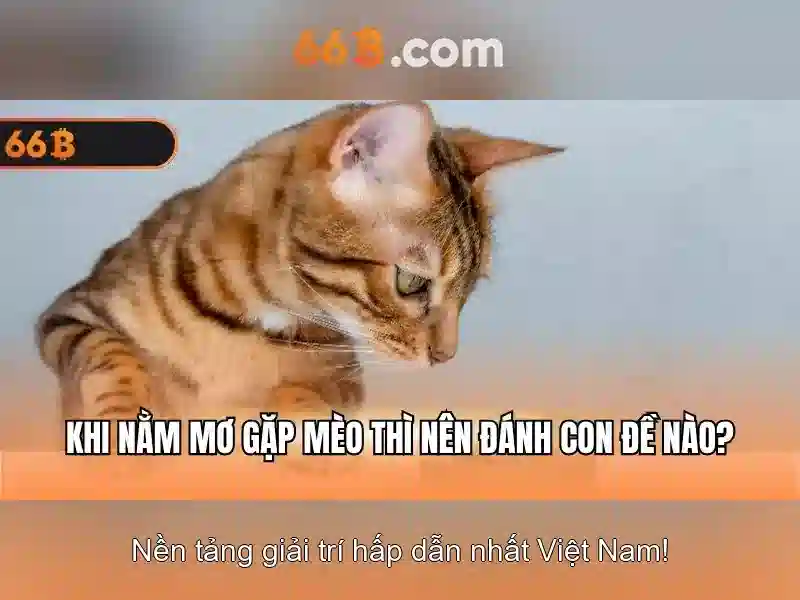 Cách hoạt động của 66B