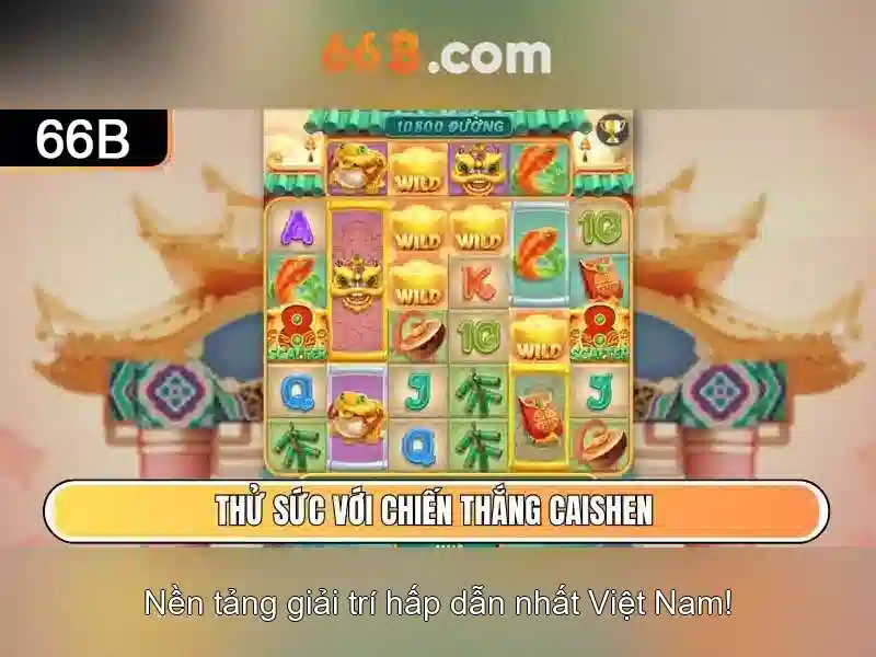 66b là gì?