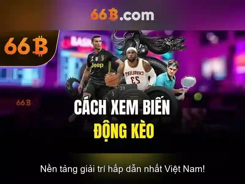 Giới thiệu về 66b