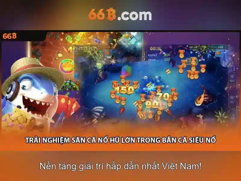 66B là gì?