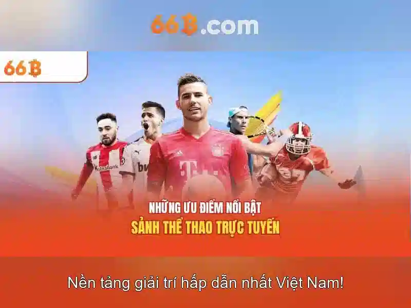 Định hình 66B và nguồn gốc