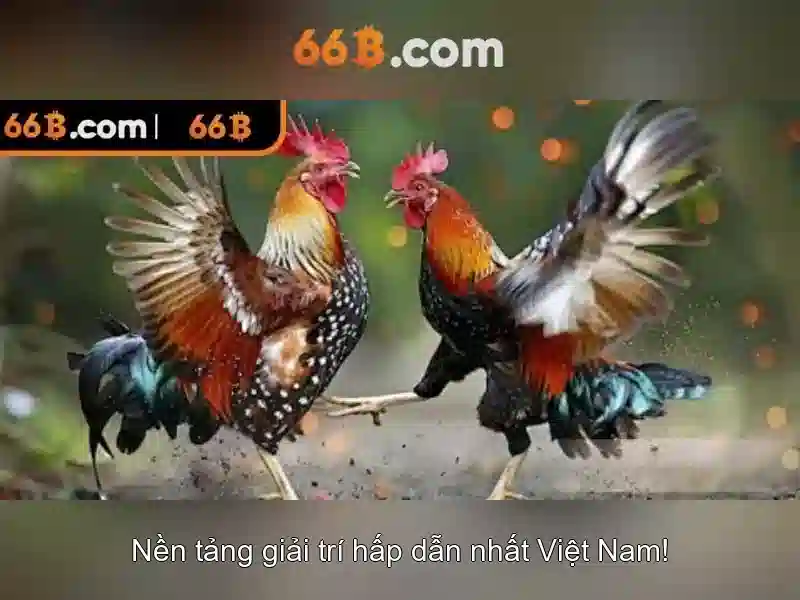Ứng dụng và ảnh hưởng của 66b trong công việc