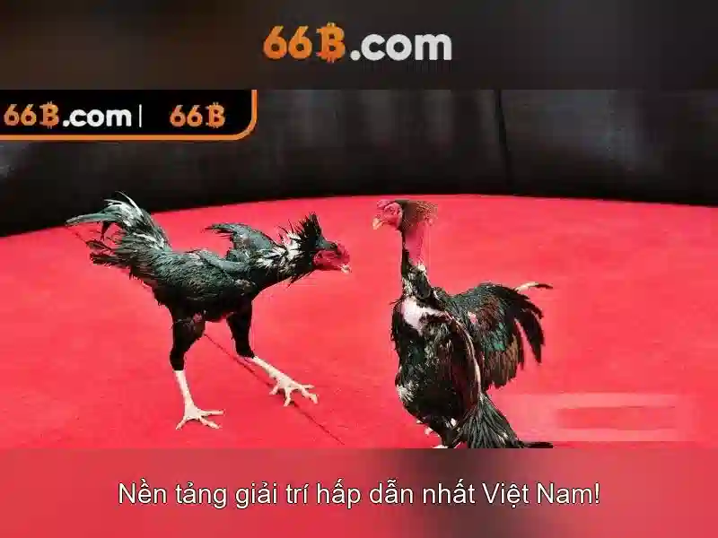 66b vip – Lợi thế và cạnh tranh\n<h2><b>66b vip – Trải nghiệm người dùng và phản hồi cộng đồng</b></h2>\n<p><span style=