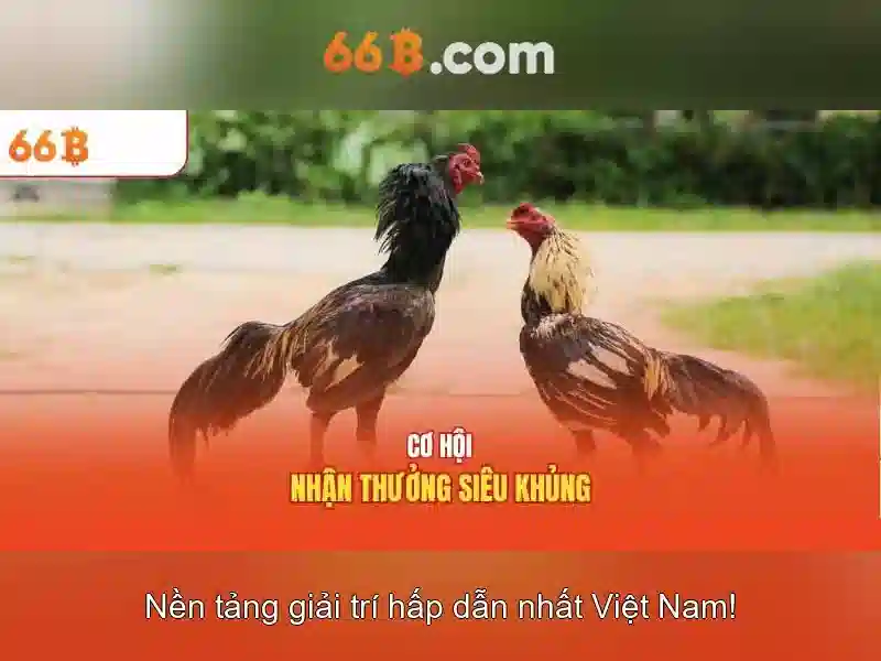 Trải nghiệm người dùng và phản hồi từ cộng đồng\n<h2><b>Phát triển và tầm nhìn tương lai</b></h2>\n<p><span style=