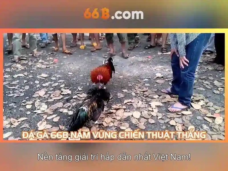 San pham va dich vu cot loi: Ung dung thuc te cua hoogoorddreef 66b 1101 be amsterdam