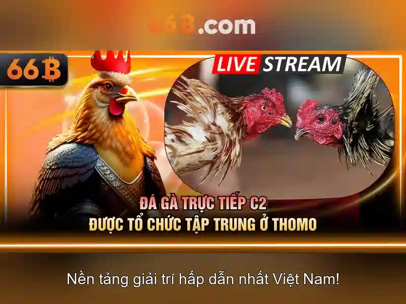 Ứng dụng và thách thức
