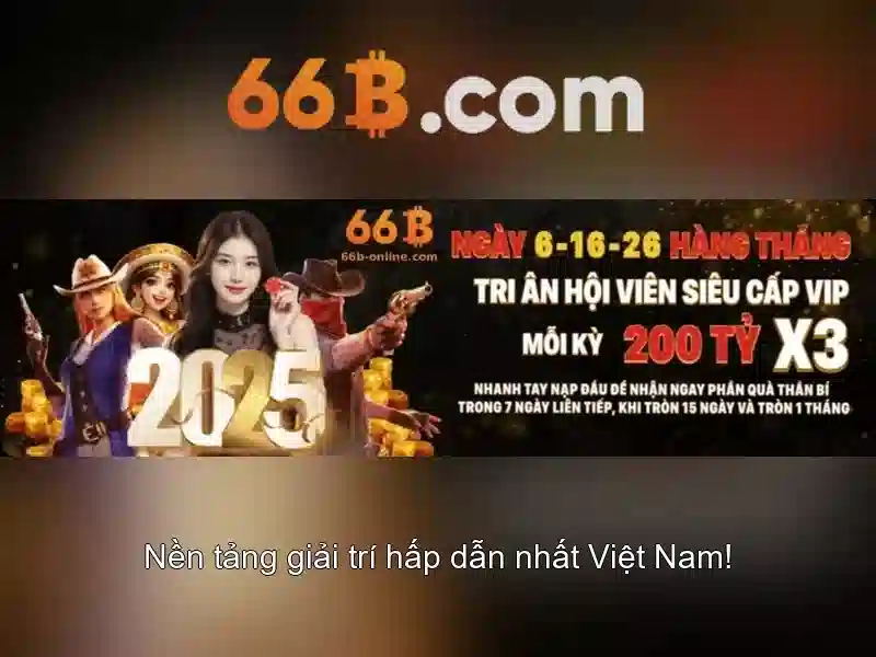 66B là gì?