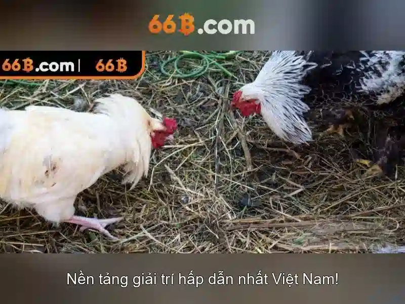 Ứng dụng và thách thức