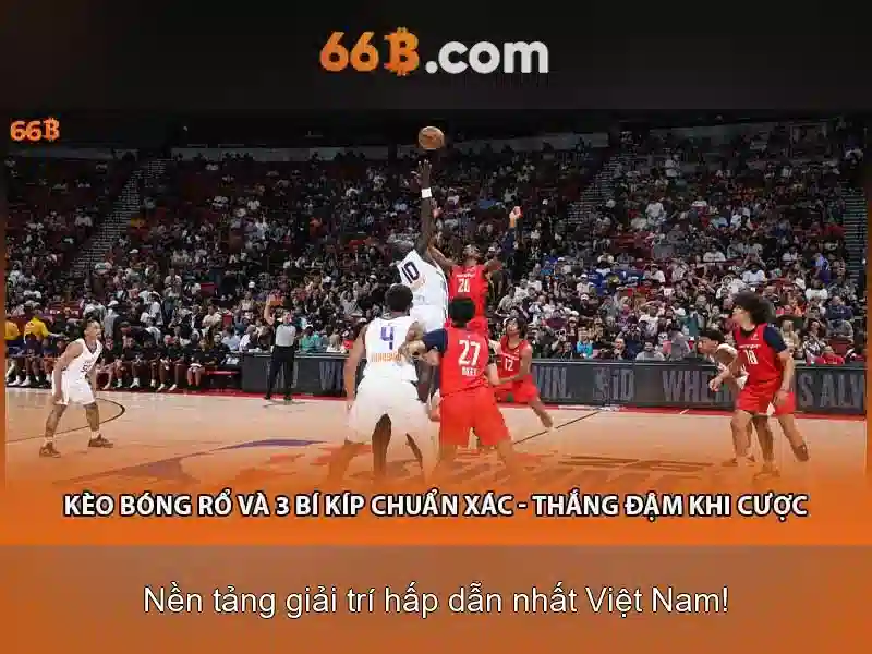 66B là gì