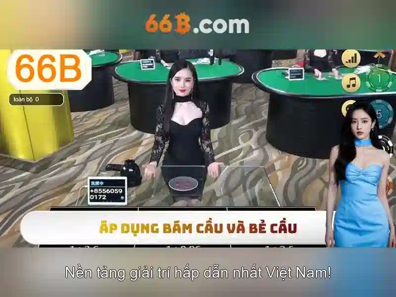 66b trong đời sống hàng ngày