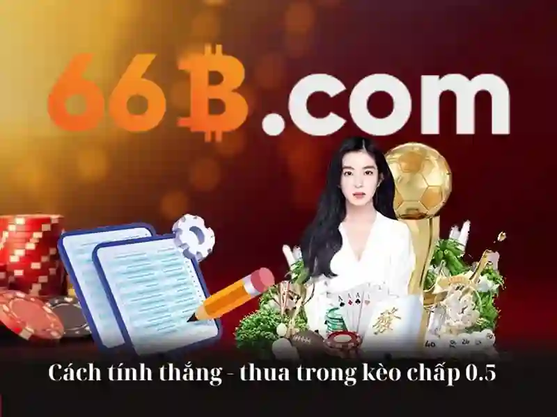 66b – Tóm tắt và lời mời trải nghiệm