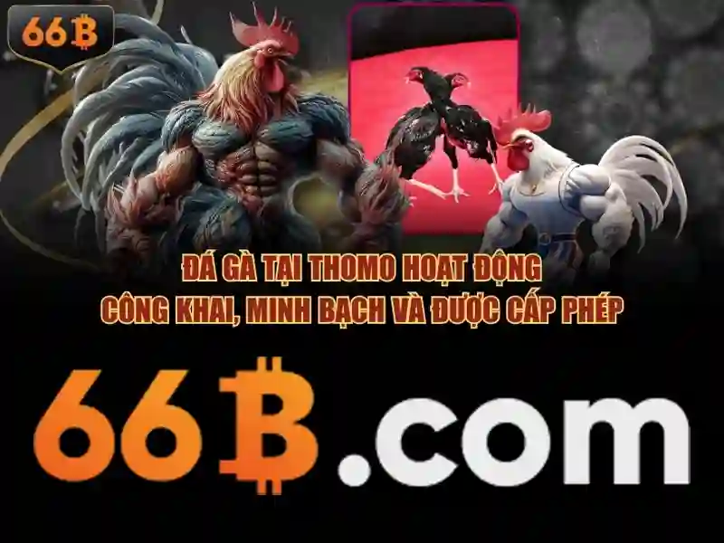 Ứng dụng và ngữ cảnh trong công nghệ