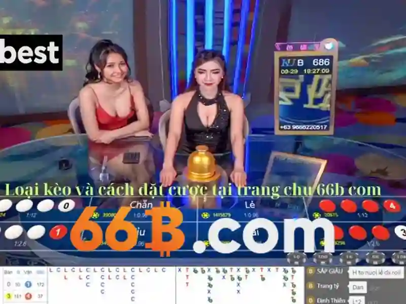 66b có lừa đảo không: Nhận định, nguồn gốc và tương lai