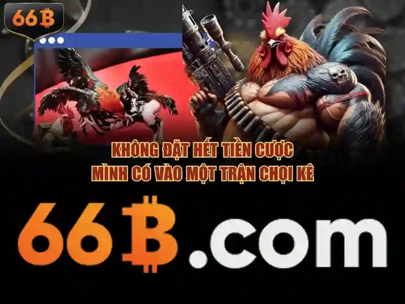 66b đỗ quang - Tổng quan chủ đề và giá trị cốt lõi