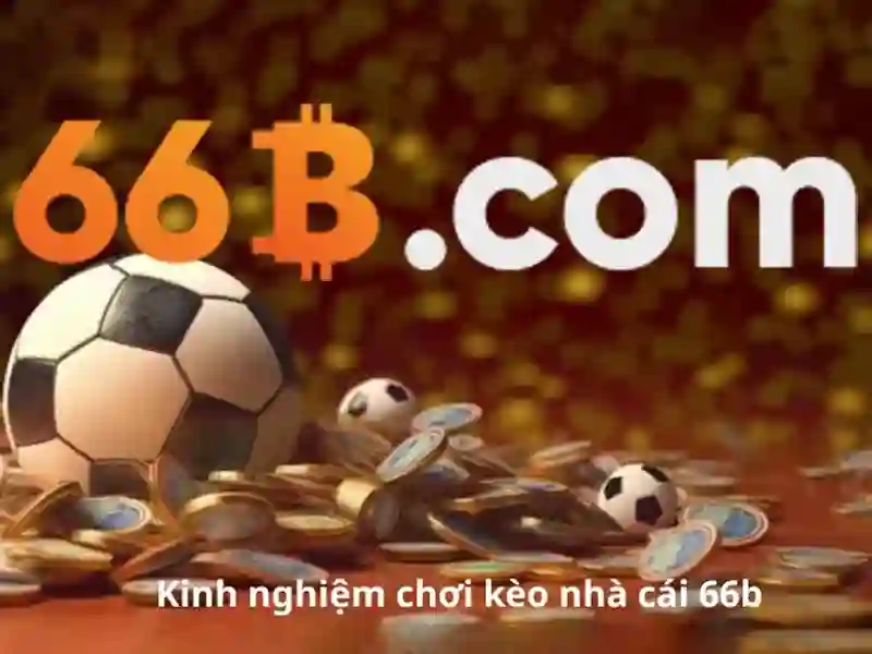 Kích thước và kiến trúc
