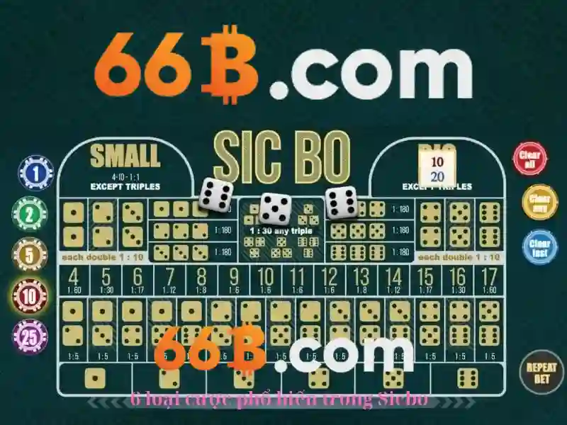 Tương lai của 66b