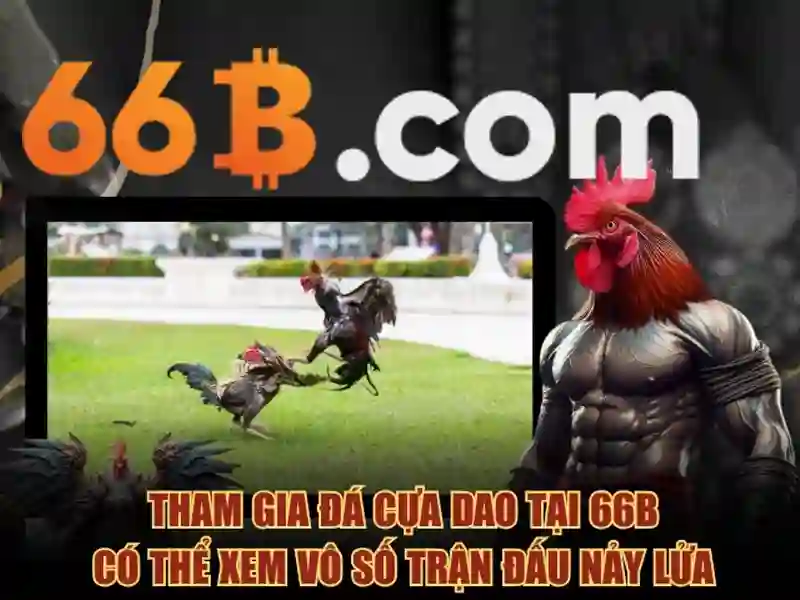 66b login – Giới thiệu đầy cảm hứng