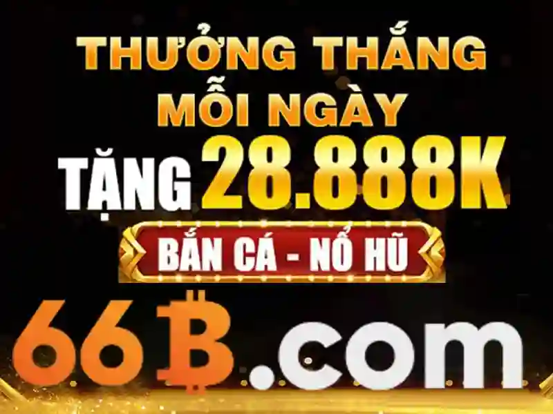 Trải nghiệm người dùng và phản hồi cộng đồng